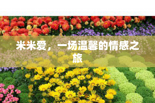 一场温馨的情感之旅图片