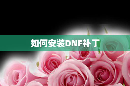 如何安装DNF补丁图片