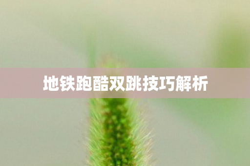 地铁跑酷双跳技巧解析图片