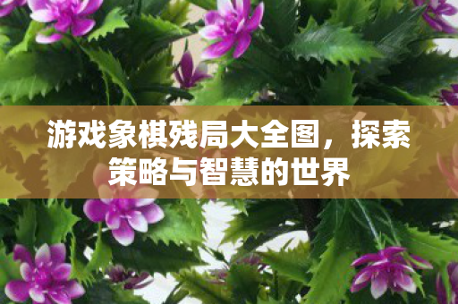 探索策略与智慧的世界图片
