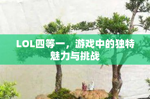 游戏中的独特魅力与挑战图片