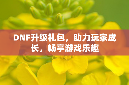 DNF升级礼包图片