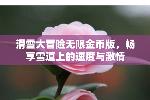 畅享雪道上的速度与激情图片