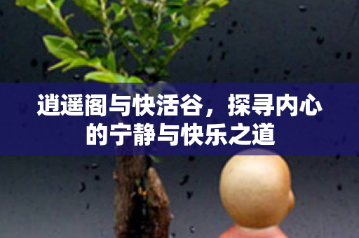 探寻内心的宁静与快乐之道图片