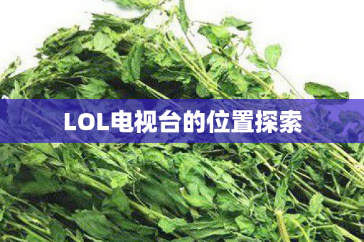 LOL电视台的位置探索图片