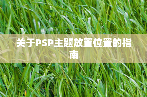 关于PSP主题放置位置的指南图片
