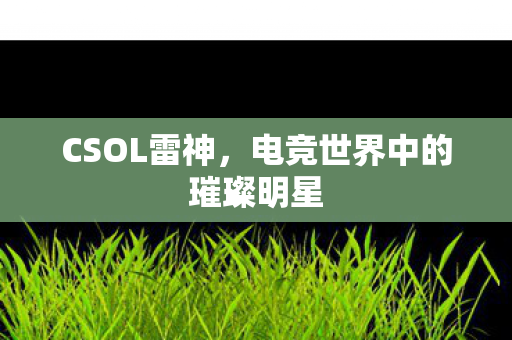 电竞世界中的璀璨明星图片