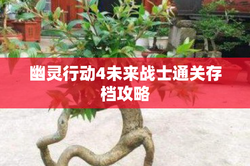 幽灵行动4未来战士通关存档攻略图片