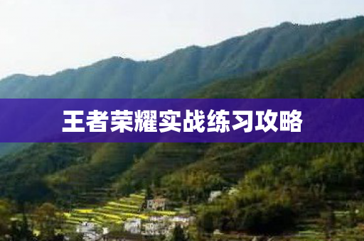 王者荣耀实战练习攻略图片