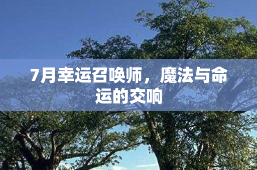 魔法与命运的交响图片