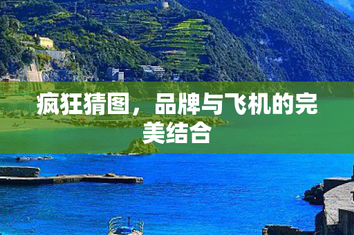 品牌与飞机的完美结合图片