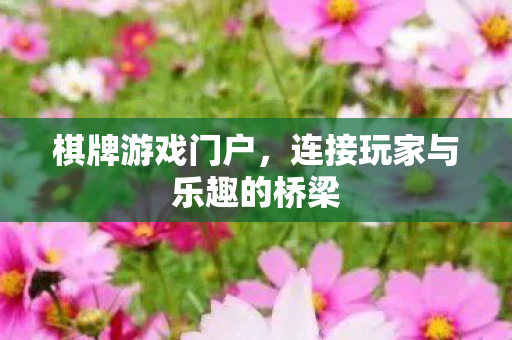 连接玩家与乐趣的桥梁图片