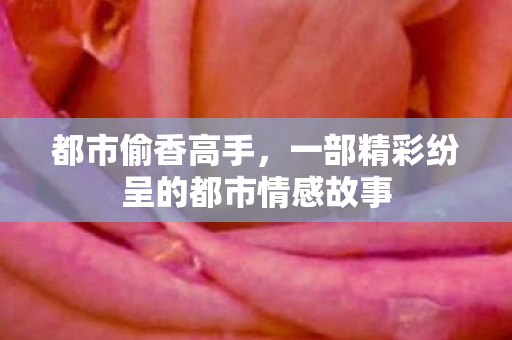 一部精彩纷呈的都市情感故事图片