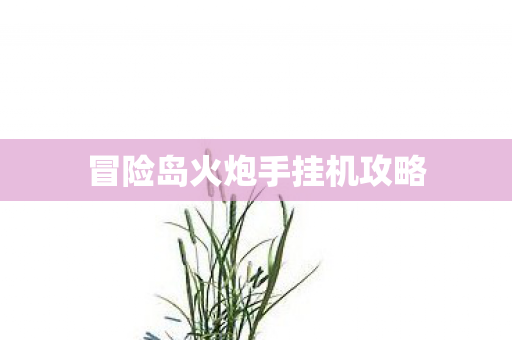 冒险岛火炮手挂机攻略图片