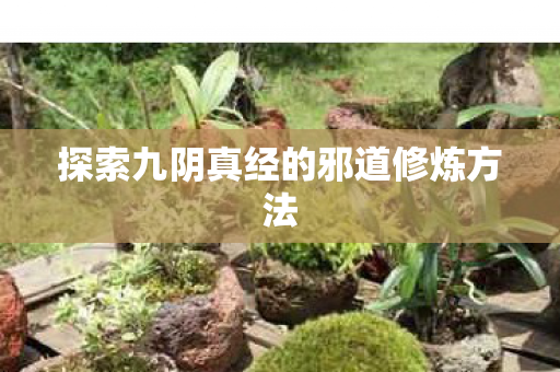 探索九阴真经的邪道修炼方法图片