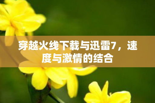 穿越火线下载与迅雷7图片