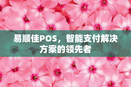 智能支付解决方案的领先者图片