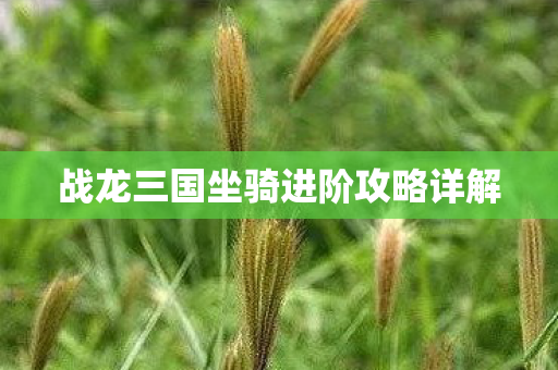 战龙三国坐骑进阶攻略详解图片
