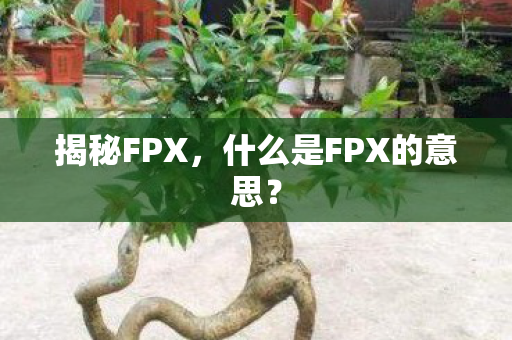 什么是FPX的意思图片