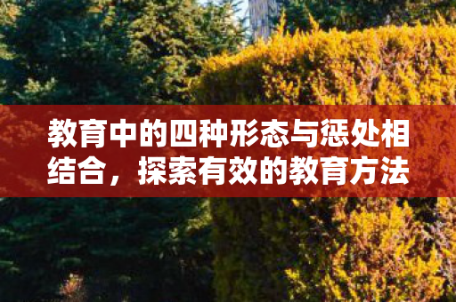 教育中的四种形态与惩处相结合图片