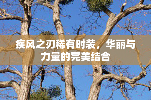 华丽与力量的完美结合图片