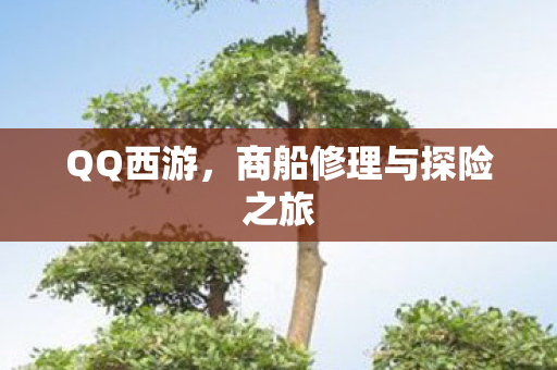 商船修理与探险之旅图片