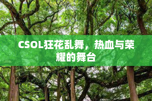 CSOL狂花乱舞图片