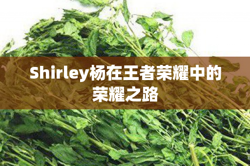 Shirley杨在王者荣耀中的荣耀之路图片