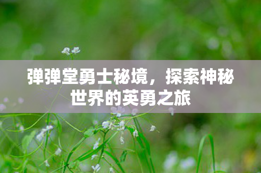 探索神秘世界的英勇之旅图片