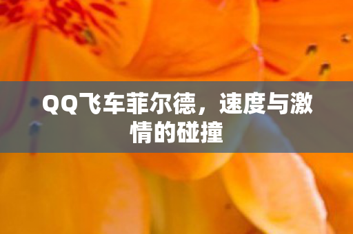速度与激情的碰撞图片