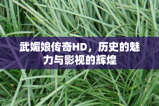 历史的魅力与影视的辉煌图片