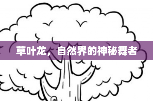 自然界的神秘舞者图片