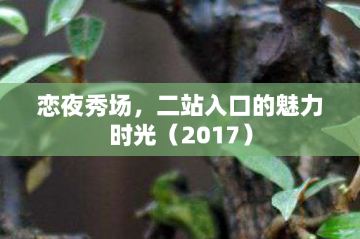 二站入口的魅力时光图片