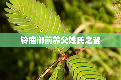 铃鹿御前养父姓氏之谜图片