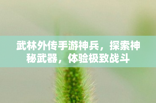武林外传手游神兵图片