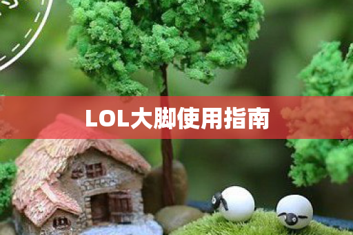 LOL大脚使用指南图片