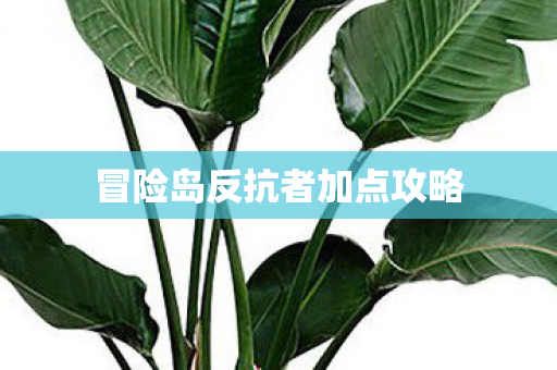 冒险岛反抗者加点攻略图片