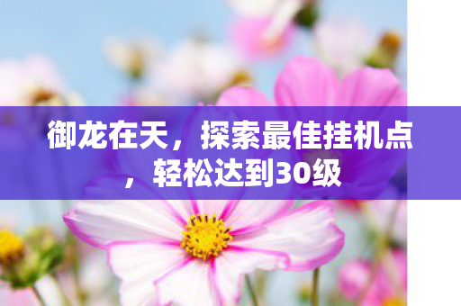 探索最佳挂机点图片