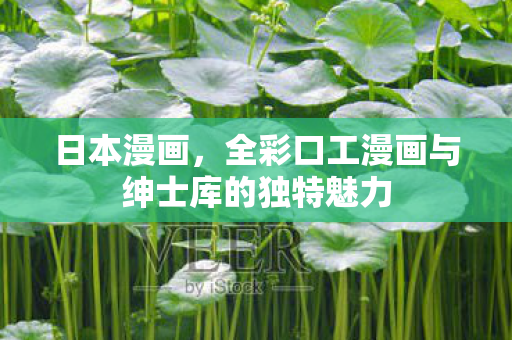 全彩口工漫画与绅士库的独特魅力图片