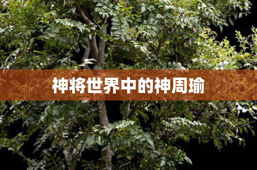 神将世界中的神周瑜图片