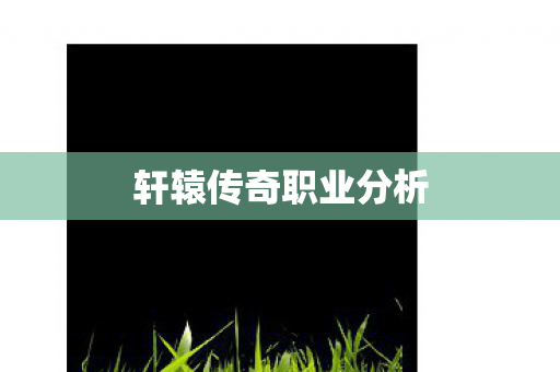 轩辕传奇职业分析图片