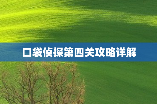 口袋侦探第四关攻略详解图片