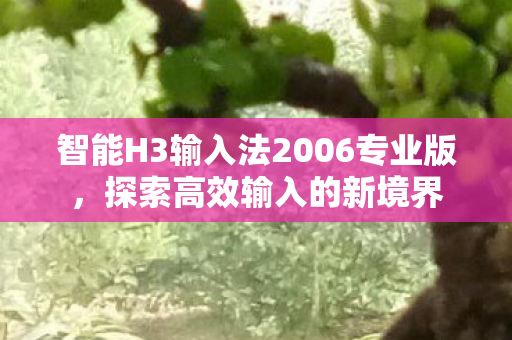 智能H3输入法2006专业版图片