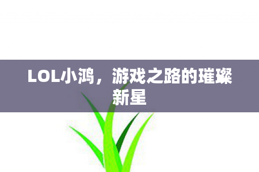 游戏之路的璀璨新星图片