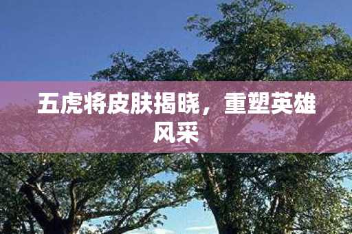 五虎将皮肤揭晓图片
