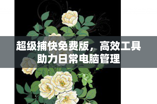 高效工具助力日常电脑管理图片
