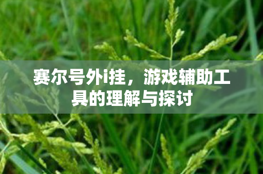 游戏辅助工具的理解与探讨图片