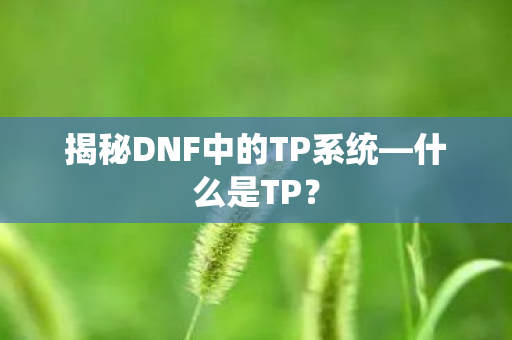 揭秘DNF中的TP系统图片