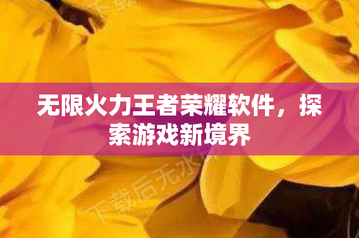 无限火力王者荣耀软件图片