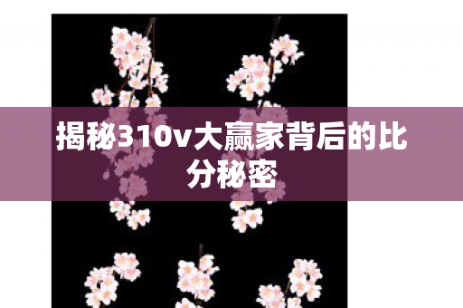 揭秘310v大赢家背后的比分秘密图片